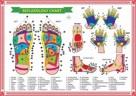 Learn Reflexology With Free Charts Points For Specific Ailments