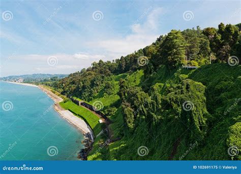 View From Botanical Garden Of Sea Bay And Railroad Stock Image Image