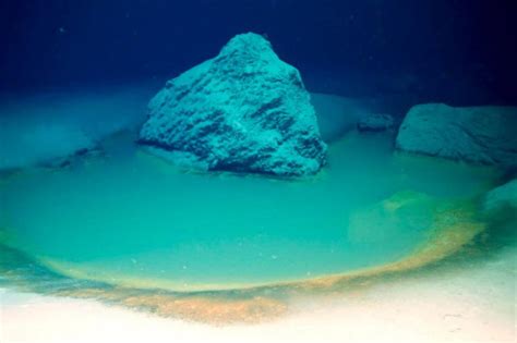 Niesamowite odkrycie na dnie Morza Czerwonego Może zrewolucjonizować proces zwalczania raka i
