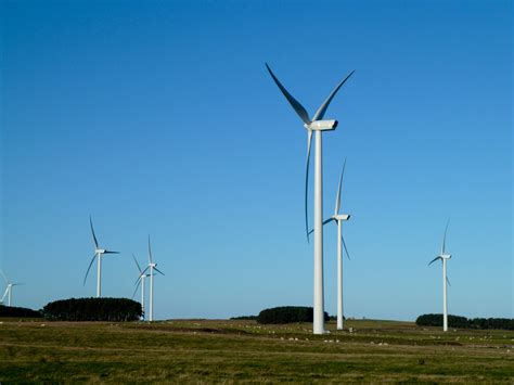 Wandylaw Wind Farm: Ornithology & Ecology Survey & Impact Assessment ...