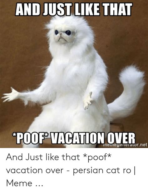 Meme Vacation Over Vacation Meme Vacation Humor Cat Memes
