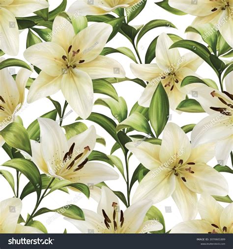 Beautiful Seamless Pattern White Lilies Flowers Stock Illustration