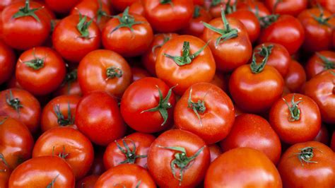 Are tomatoes fruits or are they vegetables? Is a Tomato a Fruit? | Mental Floss