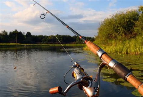 Different Types Of Fishing Rods And Poles How To Choose The Best
