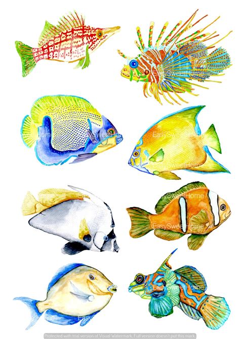 Diy fish tank decorations themes aquascaping, fresh water decor ideas, small aquascaping homemade, creative aquascaping cool simple ideas, unique aquascaping home made living room, colorful fish tank. Coral Reef Fish Decals, Bathroom Décor, Bathroom Decals ...