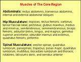 Core Muscles List