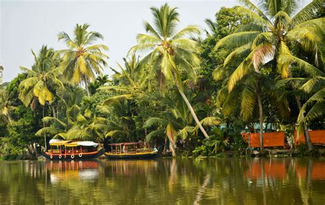 The Backwaters Of Kerala For Honeymooners Backwater Honeymoon In