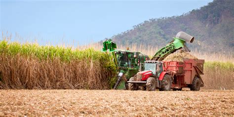 Fnq Miller And Growers Team Up To Shake Up Local Sugarcane Industry
