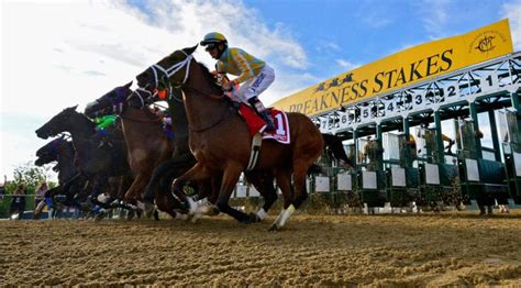 2023 preakness stakes packages roadtrips