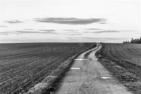 Country Road In Rural Agricultural Landscape After Rain Black And