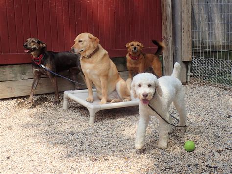Tripadvisor has 76 reviews of passage east hotels, attractions, and restaurants making it your best passage east resource. Passage East Kennels added a new photo. - Passage East ...
