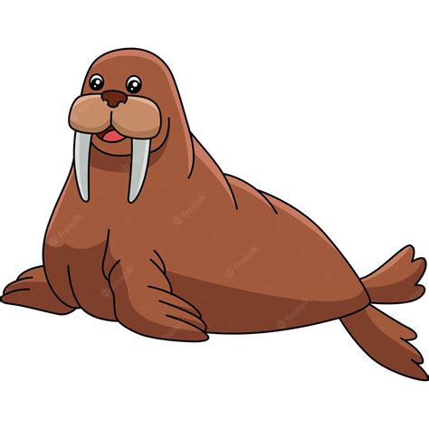 Premium Vector Walrus Cartoon Clipart Animal Illustration