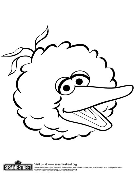 Big Bird Face Coloring Page High Quality Coloring Pages Coloring Home