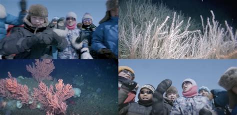 Iqaluit Children Celebrate Protection Of Arctic Corals With New Music