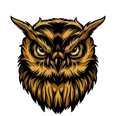 Vintage Serious Owl Head Design Video Video Owl Illustration