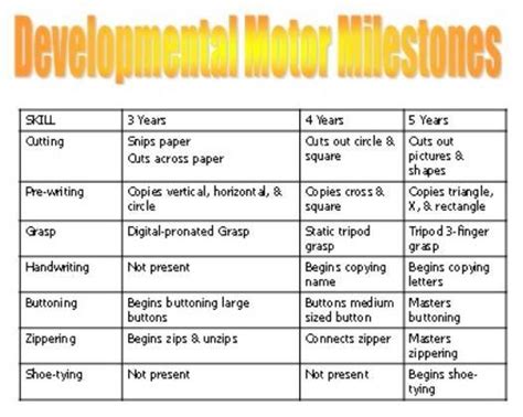 Development Milestones For Motor Skills Preschool Grossfine Motor