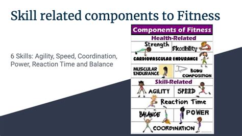 6 Skill Related Fitness Components Physical Ed Quizizz