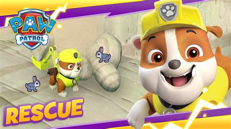 Moto Pups Rescue The Kitties And Bunnies Paw Patrol Cartoon And