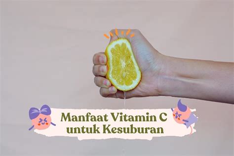 Manfaat Vitamin C Untuk Kesuburan Pria And Wanita