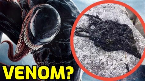 The Real Venom Symbiote Explained Youtube