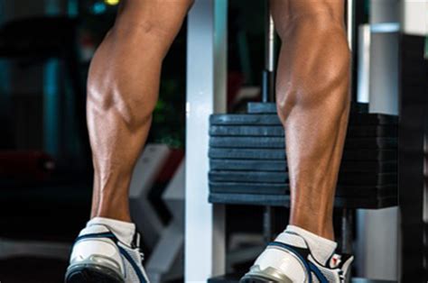 These 3 muscles are referred to as 'the triceps surae', and they attach to the achilles tendon. Lower leg fitness: Five tips for defined calves - Discover Herbalife