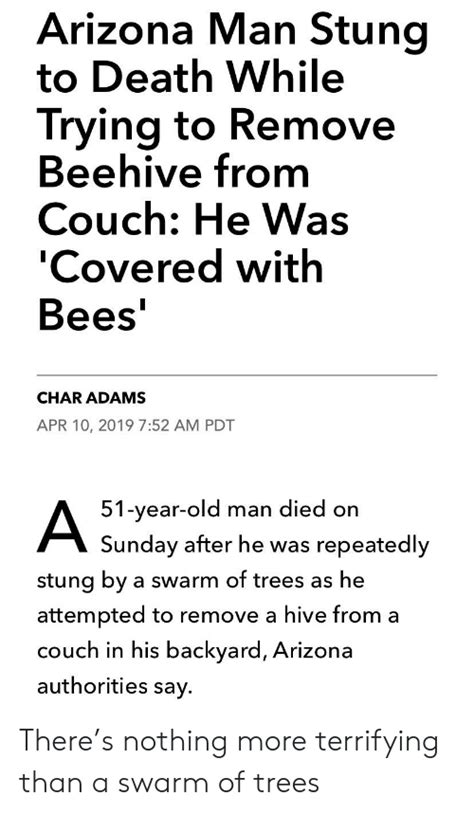 Arizona Man Stung To Death While Trying To Remove Beehive From Couch He