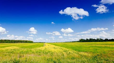 Rural Road In Green Grass Field Meadow Scenery Lanscape With Blue Sky