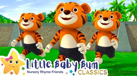 Funny Animal Song Songs For Kids Little Baby Bum Youtube