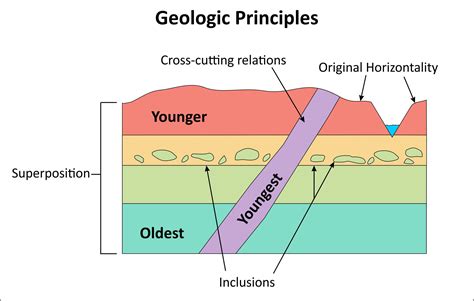 5 Sedimentary Rock Diagrams