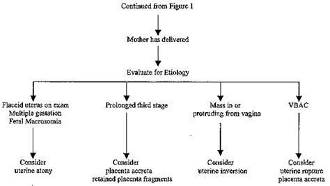 Vaginal Bleeding Associated With Pregnancy Primary Care Clinics In