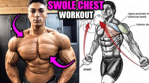 Swole Chest Workout ️ 7 Exercises Youtube
