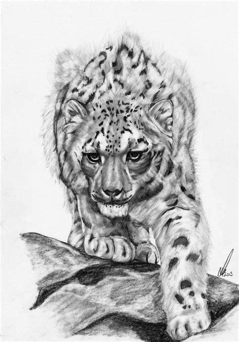 Prowl On Deviantart Snow Leopard Tattoo Leopard Tattoos