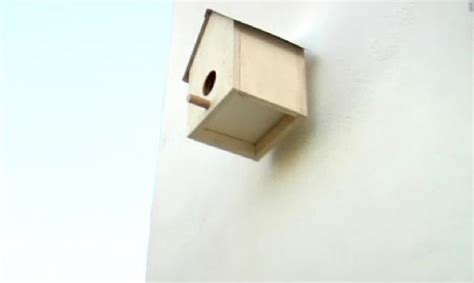 Compra aquí las mejores casas de pájaros baratas casa para aves casitas para pajajaros mejor calidad precio 2020¡envío 24h y gratis! Casa para pájaros - Hogarmania