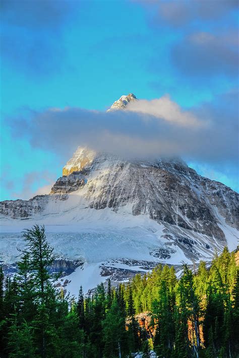 Mount Assiniboine Seen From Sunburst Photograph By Howie Garber