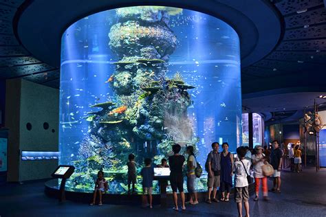 Sea Aquarium At Resorts World Sentosa Choo Yut Shing Flickr