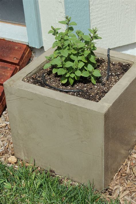 DIY Modern Minimal Concrete Planter Boxes