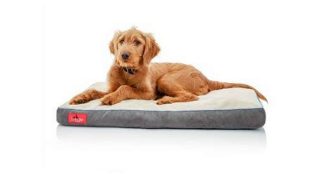 This sofa bed has a 4 inch memory foam base, and strong bolsters around the side. Top Extra Large Dog Beds With Memory Foam