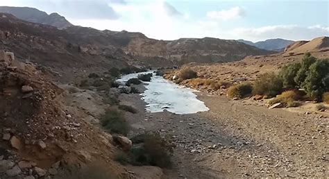 Najchłodniejsza Woda W Oceanach Znajduje Się W Okolicach - Izrael - Deszcze w okolicach pustyni Negew spowodowały odrodzenie się