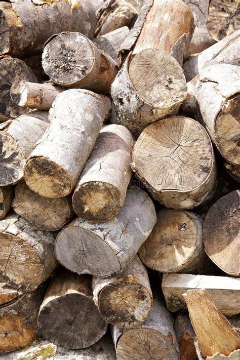 Stacked Firewood Stock Image Image Of Forestry Outdoor 26591617