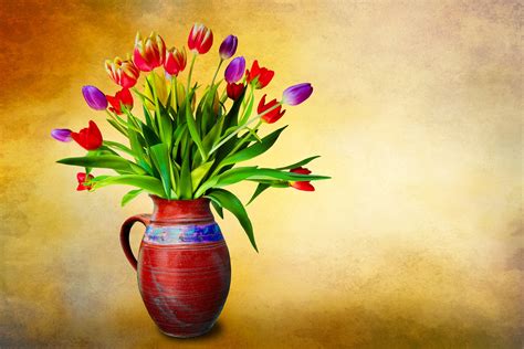 Flower Vase Wallpaper 4k Tulip Flowers Multicolor
