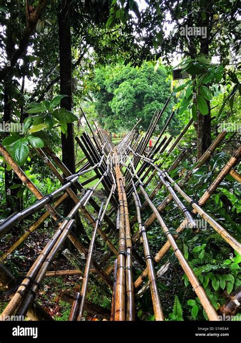 Traditional Bamboo Bridge In Sarawak Malaysia Stock Photo Alamy