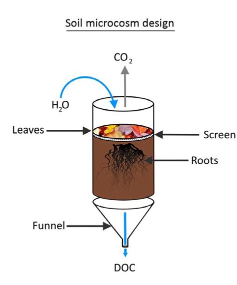 World Soil Day 2018 Journal Of Ecology Blog