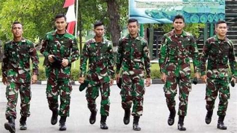 Penerimaan Tentara Nasional Indonesia Terbaru