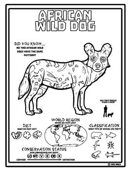 African Wild Dog Coloring Page at GetColorings.com | Free printable colorings pages to print and