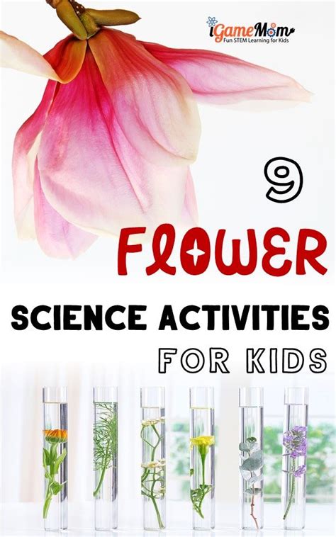 Glowing Flower Science Fair Project Best Flower Site