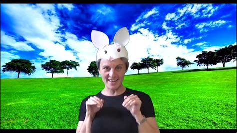 Little Bunny Youtube
