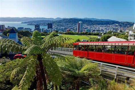 Wellington City And Its 25 Most Prominent Tourist Attractions You