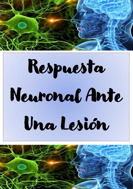 Respuesta Neuronal Ante Una Lesión Neuroanatomía Clínica Neurona