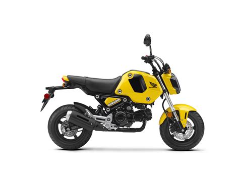 Check out our 2022 honda grom first look video. 2022 Honda Grom | First Look Review - myMOTORss