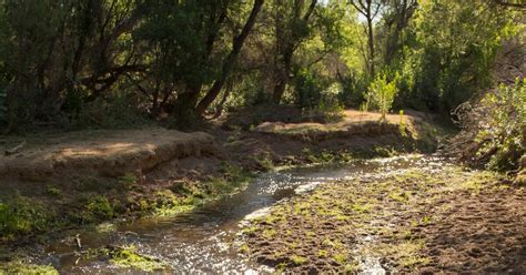 Water Is Once Again Flowing Into The Santa Cruz River